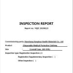 Inspection Report